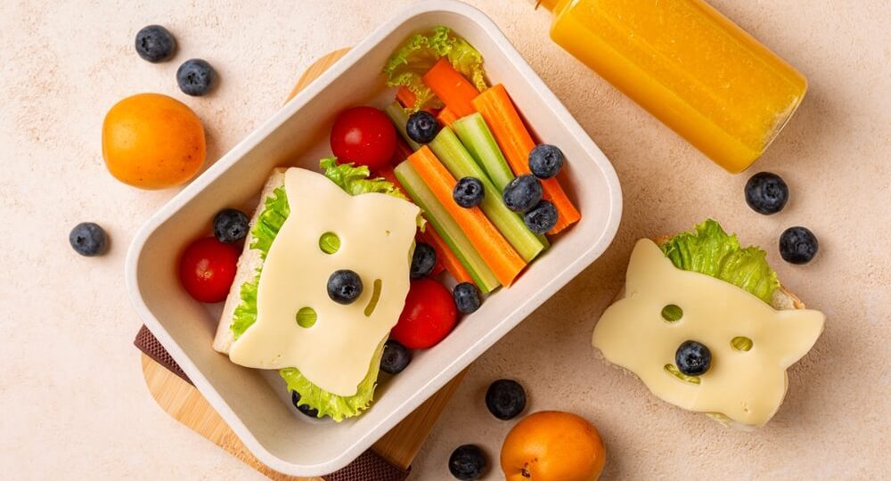 Lancheira infantil aberta vista de cima, contendo um sanduíche divertido decorado com queijo em formato de rosto de animal, palitos de cenoura e pepino, tomates-cereja e mirtilos. Ao lado da lancheira, temos outro sanduíche decorado da mesma forma, alperces, mirtilos espalhados e uma garrafa com sumo de laranja fresco.