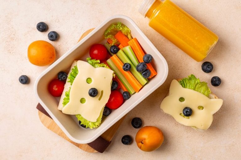Lancheira infantil: como variar o lanche para a escola
